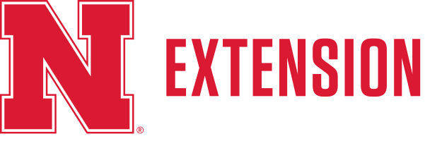 N Extension Logo