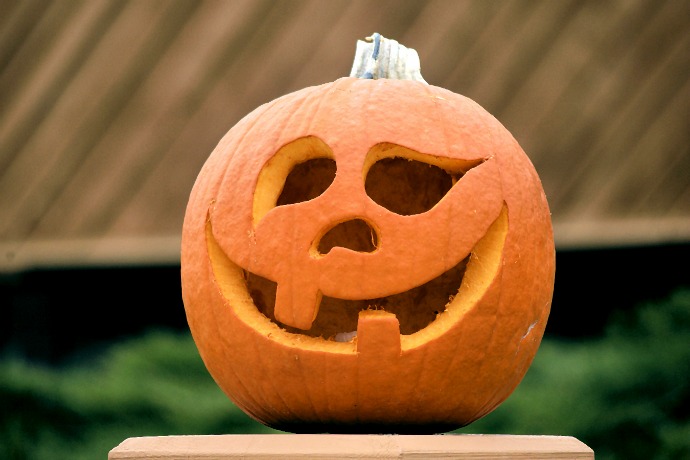 Can You Eat Your Jack O Lantern Pumpkin
