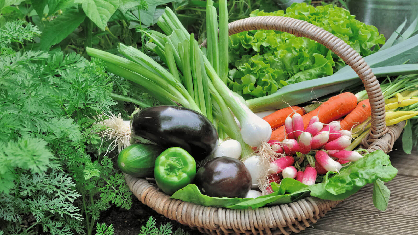 Basket of fresh vegetables.
