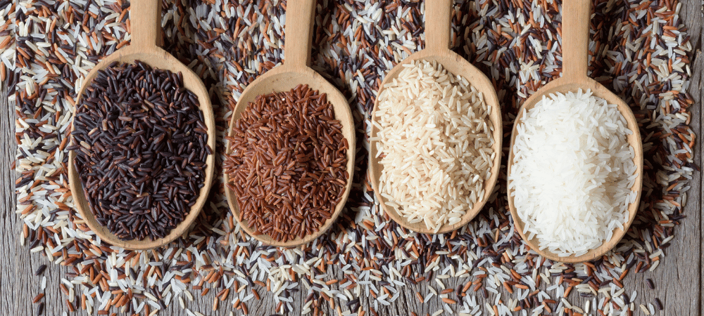 variety of rice such as Jasmine rice, brown rice, red rice, and black rice on wooden spoons