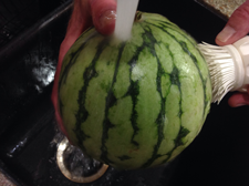 washing a watermelon