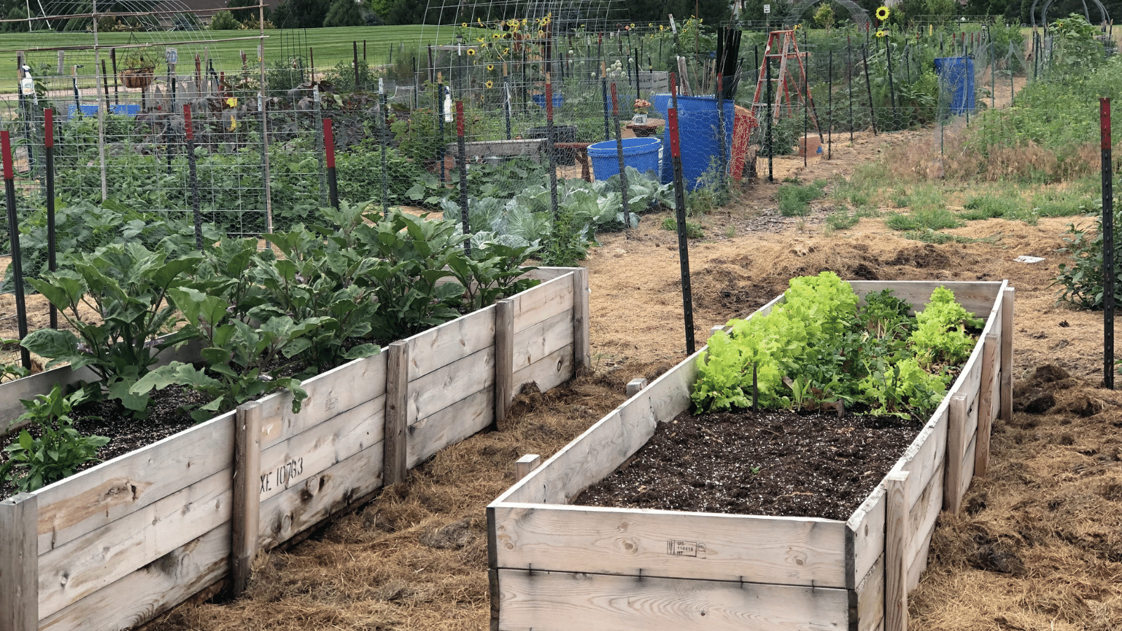 Community Garden.