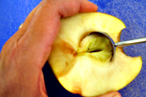 using melon baller to seed an apple