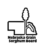 sorghum board logo
