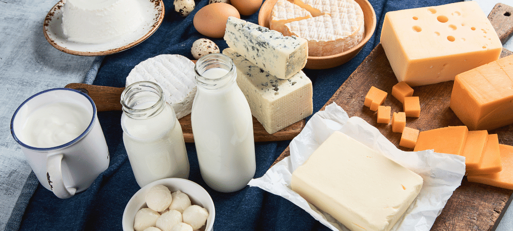 A spread of a variety of dairy products including milk, yogurt, cheese, and more.