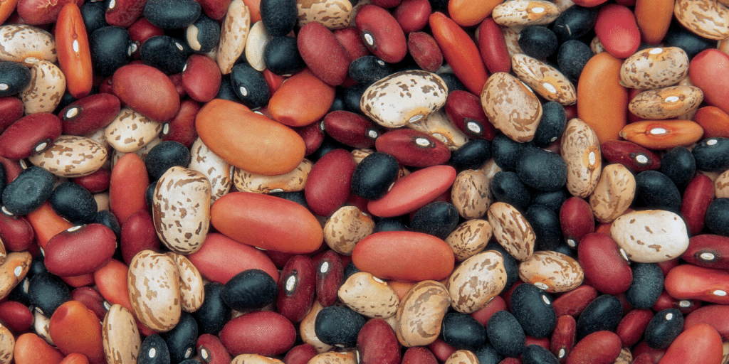 assorted dry beans for cooking from scratch