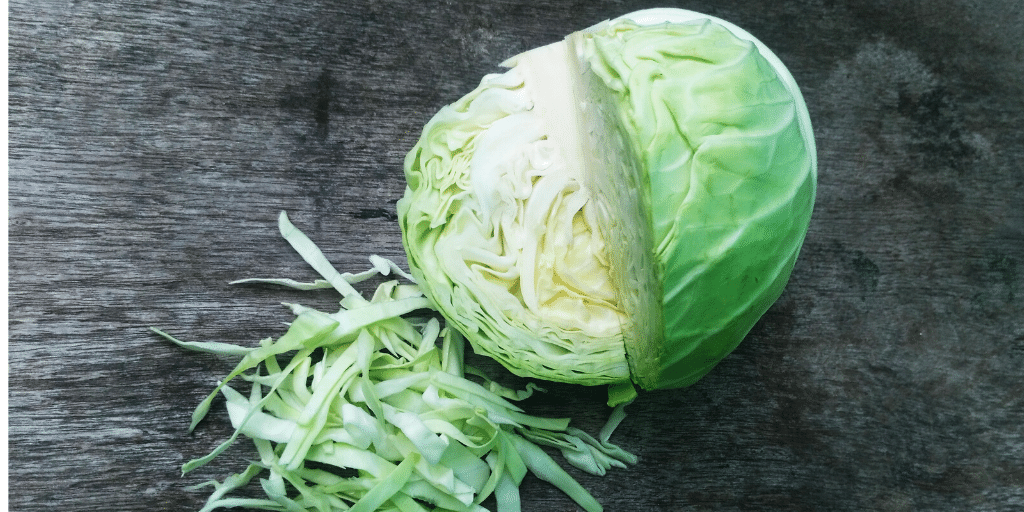 cabbage on a table