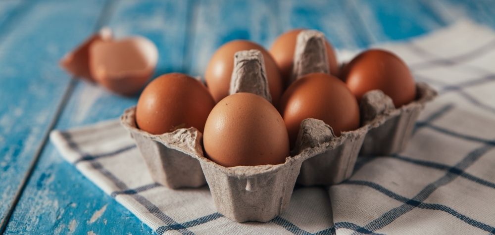 Cracking the Date Code on Egg Cartons | UNL Food