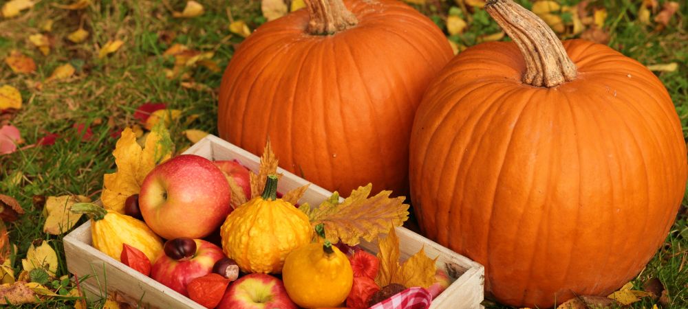 fall-pumpkin-apples