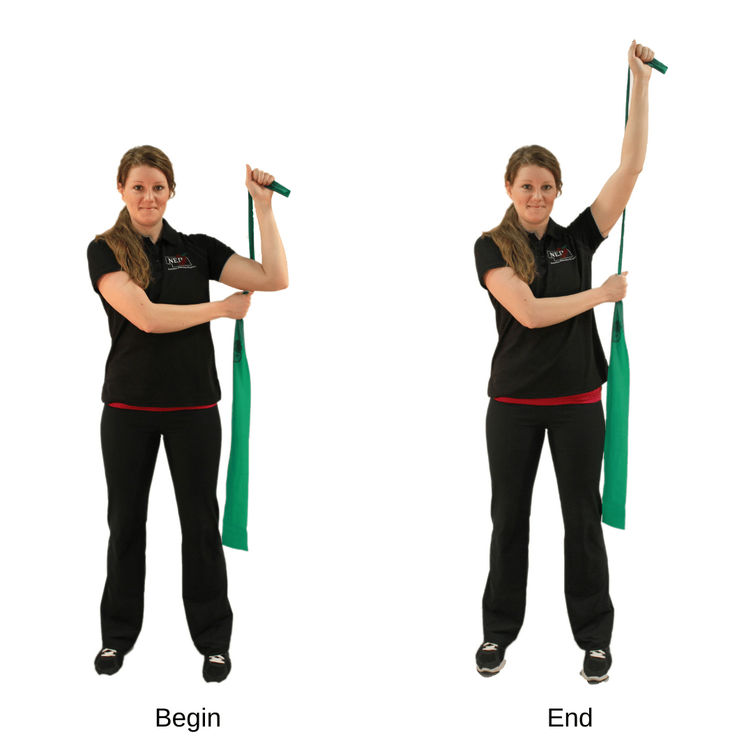 EXTENSION: Standing - Resistance Band: Stable (Active)