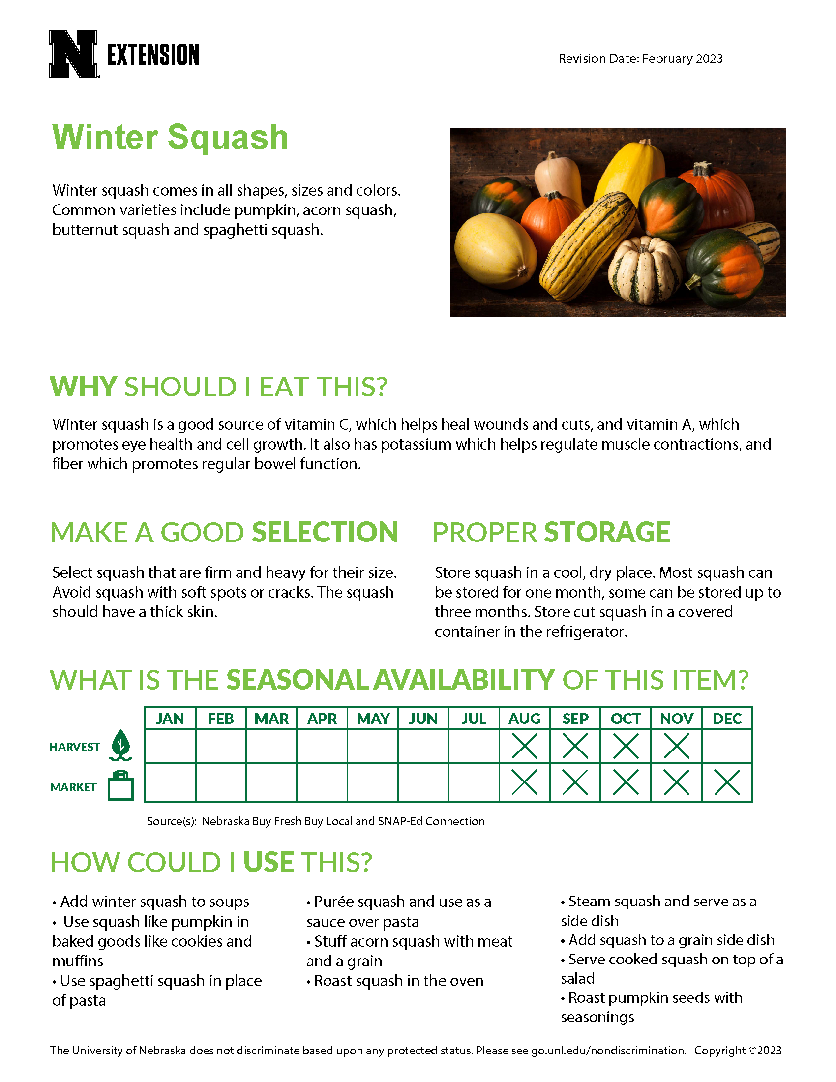 winter squash identification chart