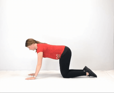 A pregnant women modeling how to do a bird dog exercise.