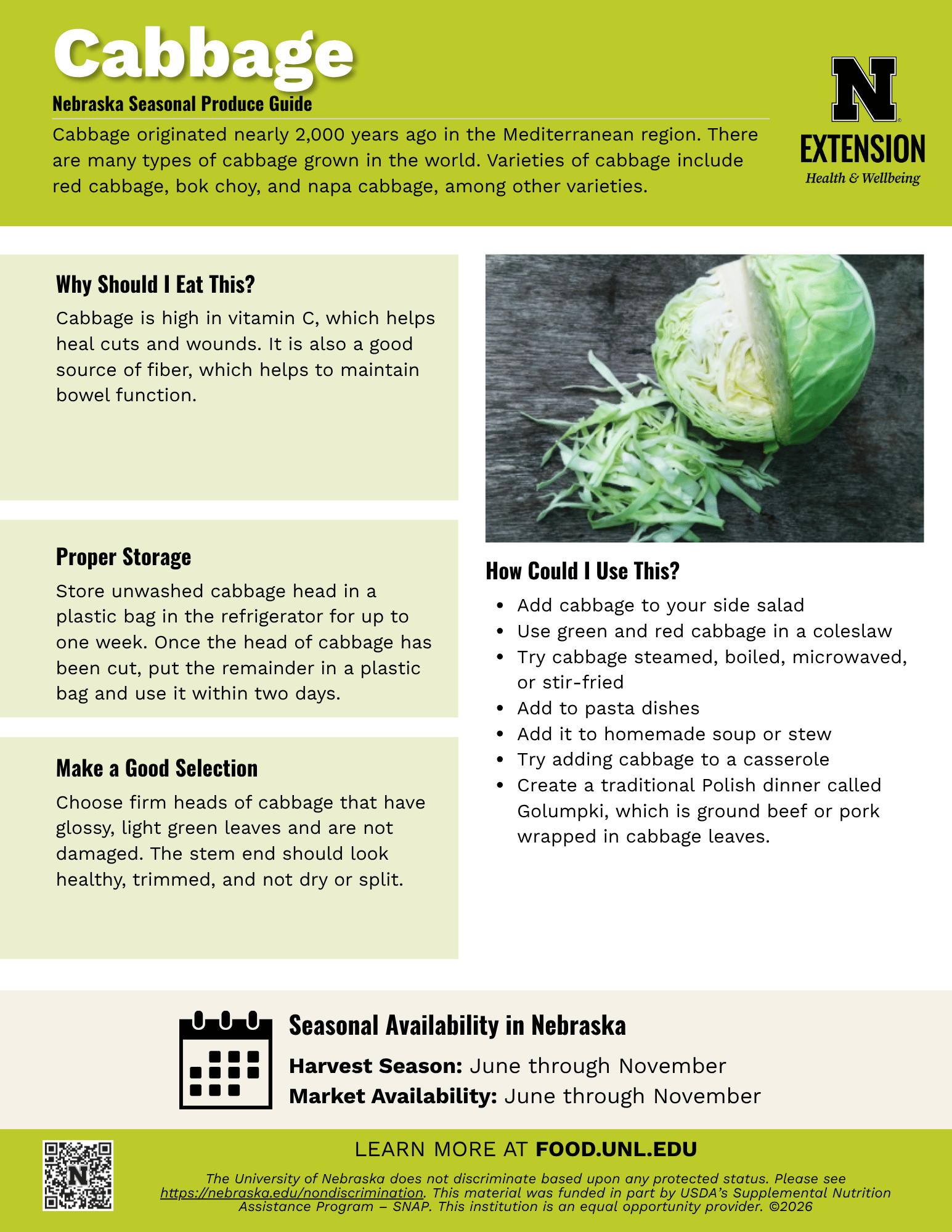 Cabbage Handout