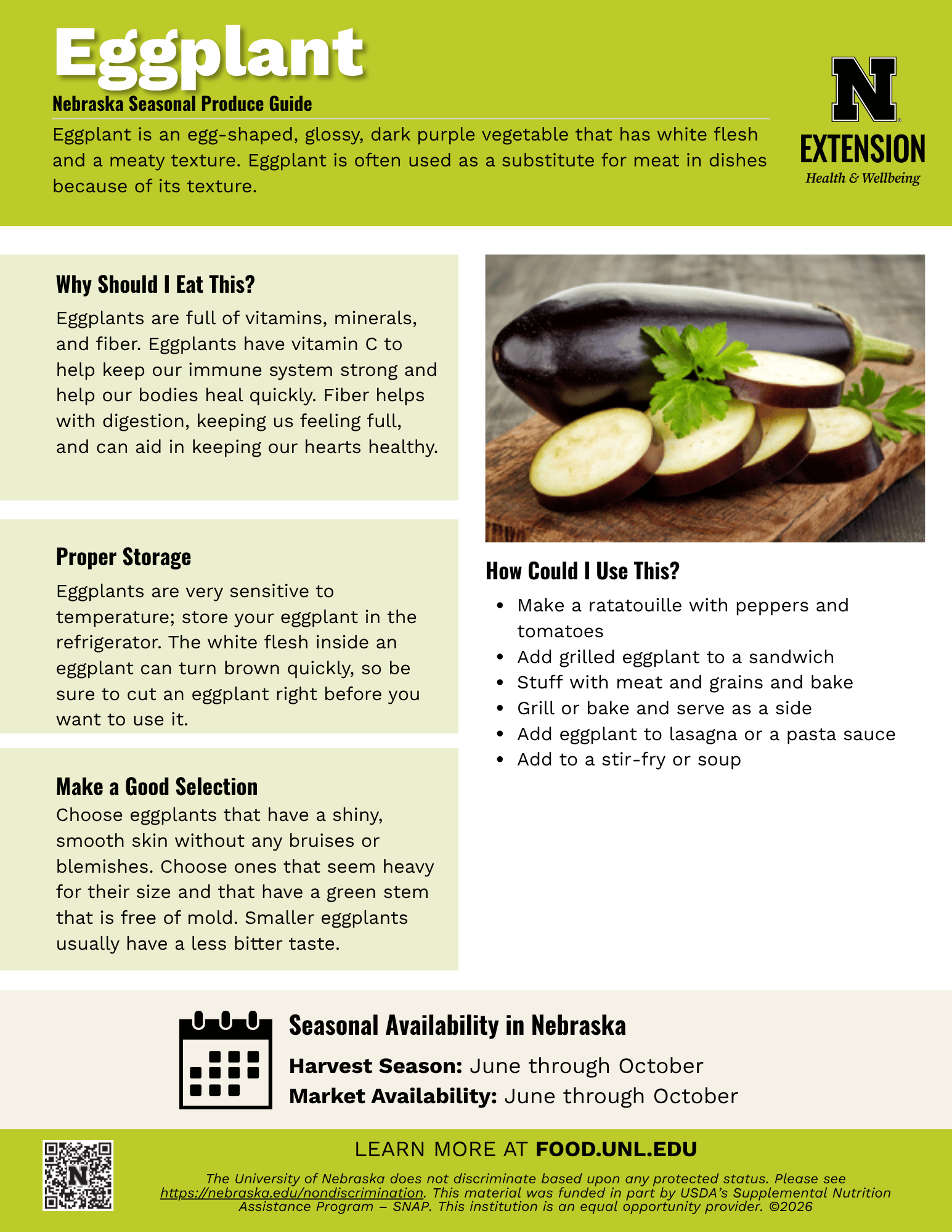 Eggplant Handout