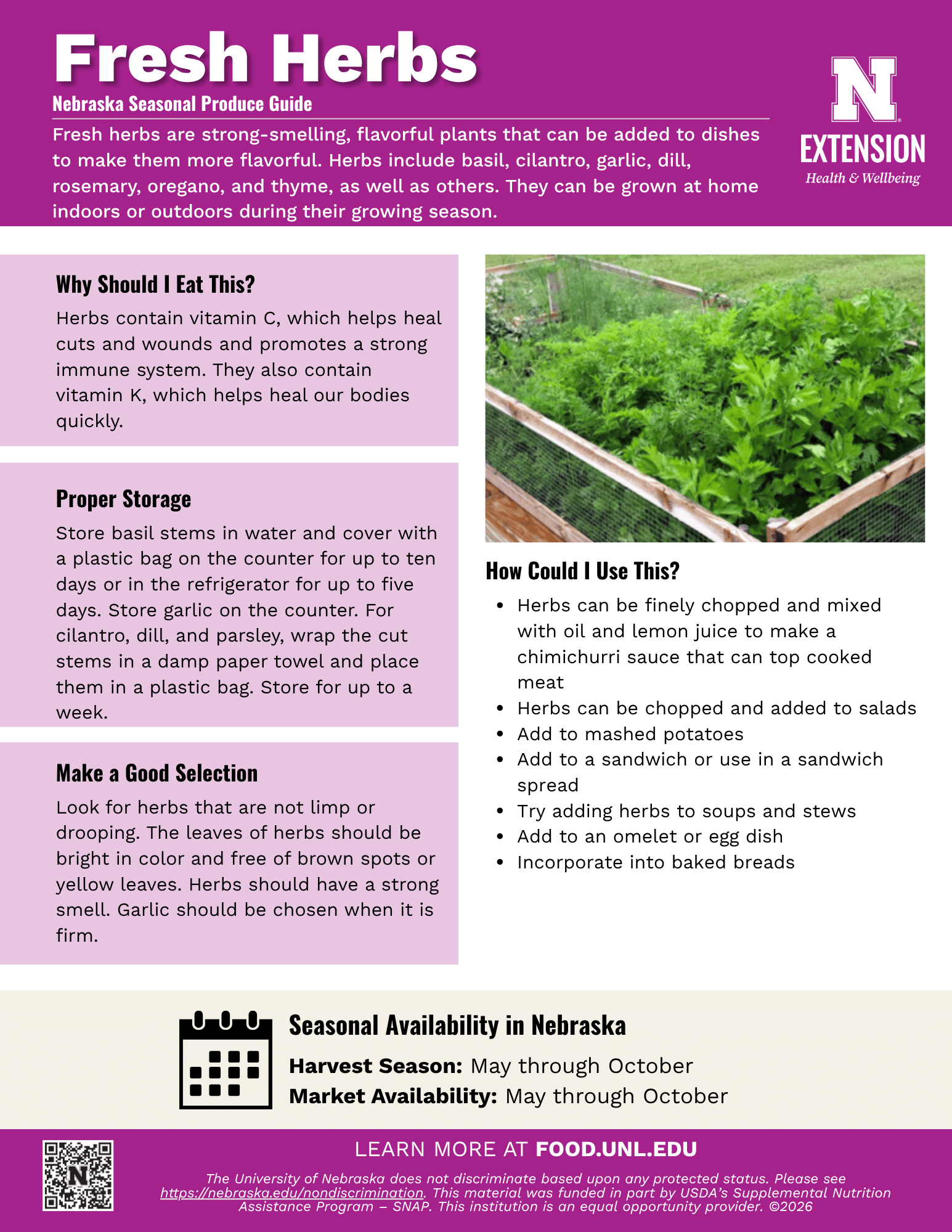 Fresh Herbs Handout