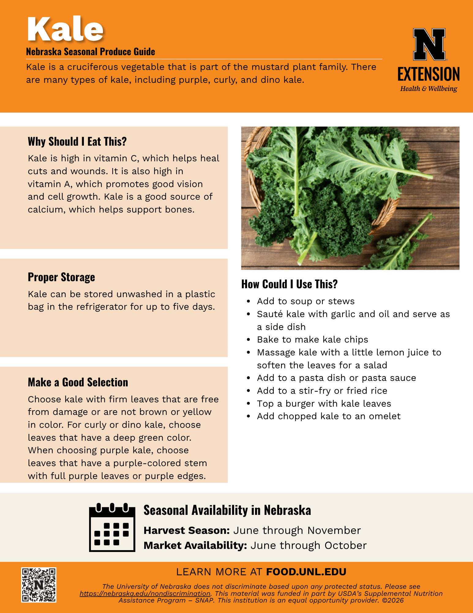 Kale Handout