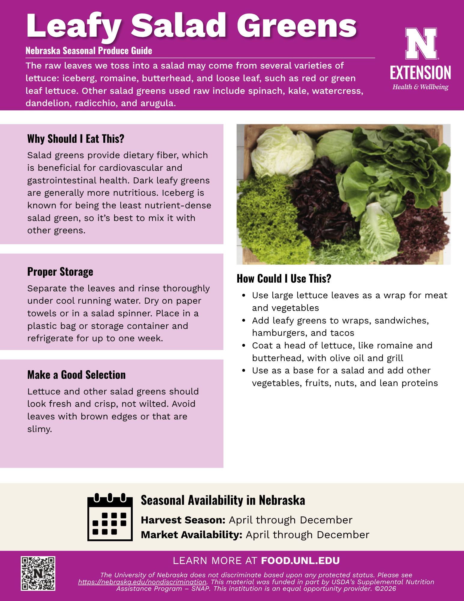 Leafy Salad Greens Handout