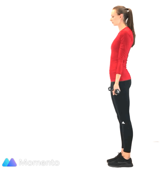 Lunge bicep curl combo