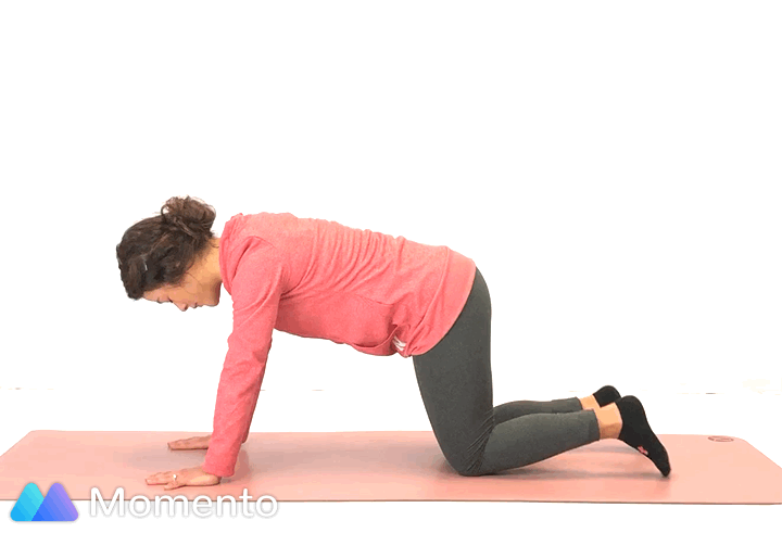 An individual modeling how to do a downward dog yoga pose.