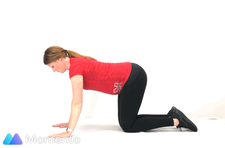 A pregnant women modeling how to do cow cat hip tilt exercise.