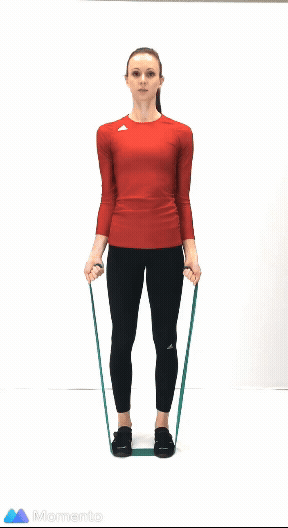 An individual modeling how to do a bicep curl workout using a resistance band.