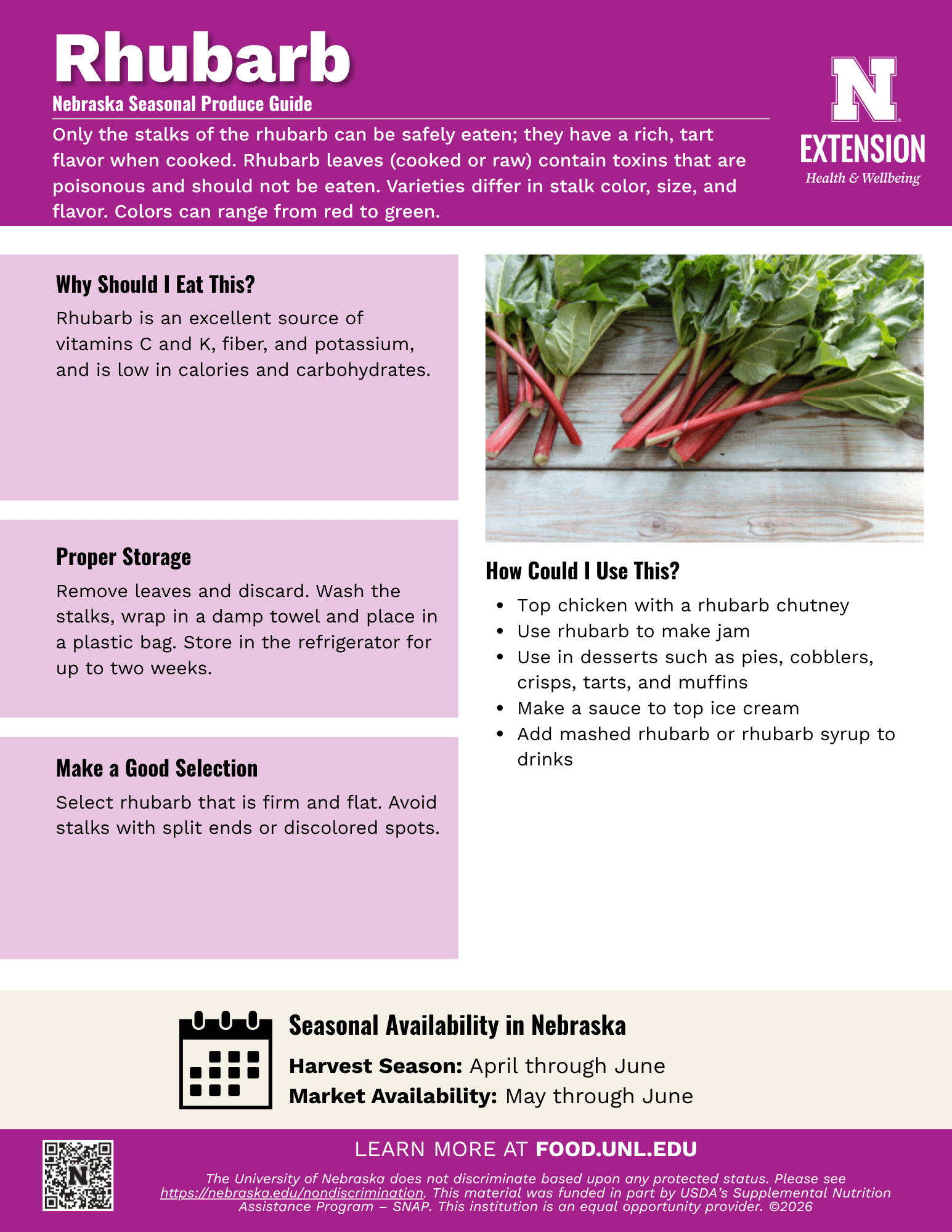 Rhubarb Handout