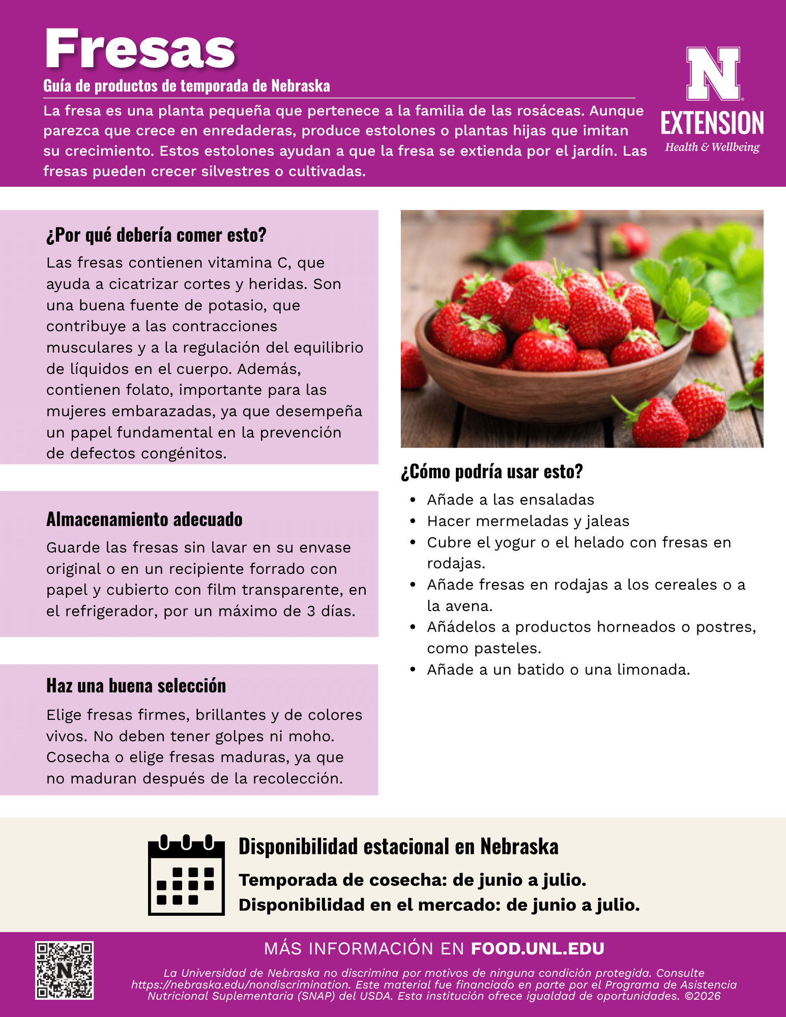Strawberries Handout - Spanish