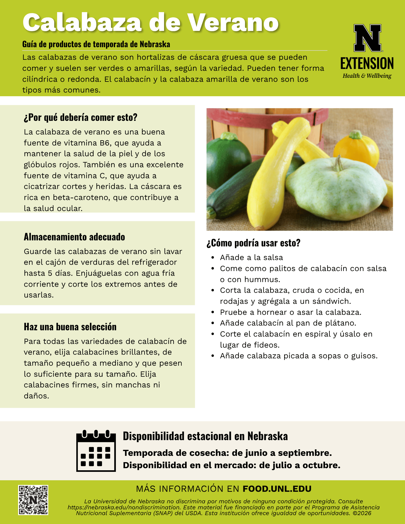 Summer Squash Handout - Spanish
