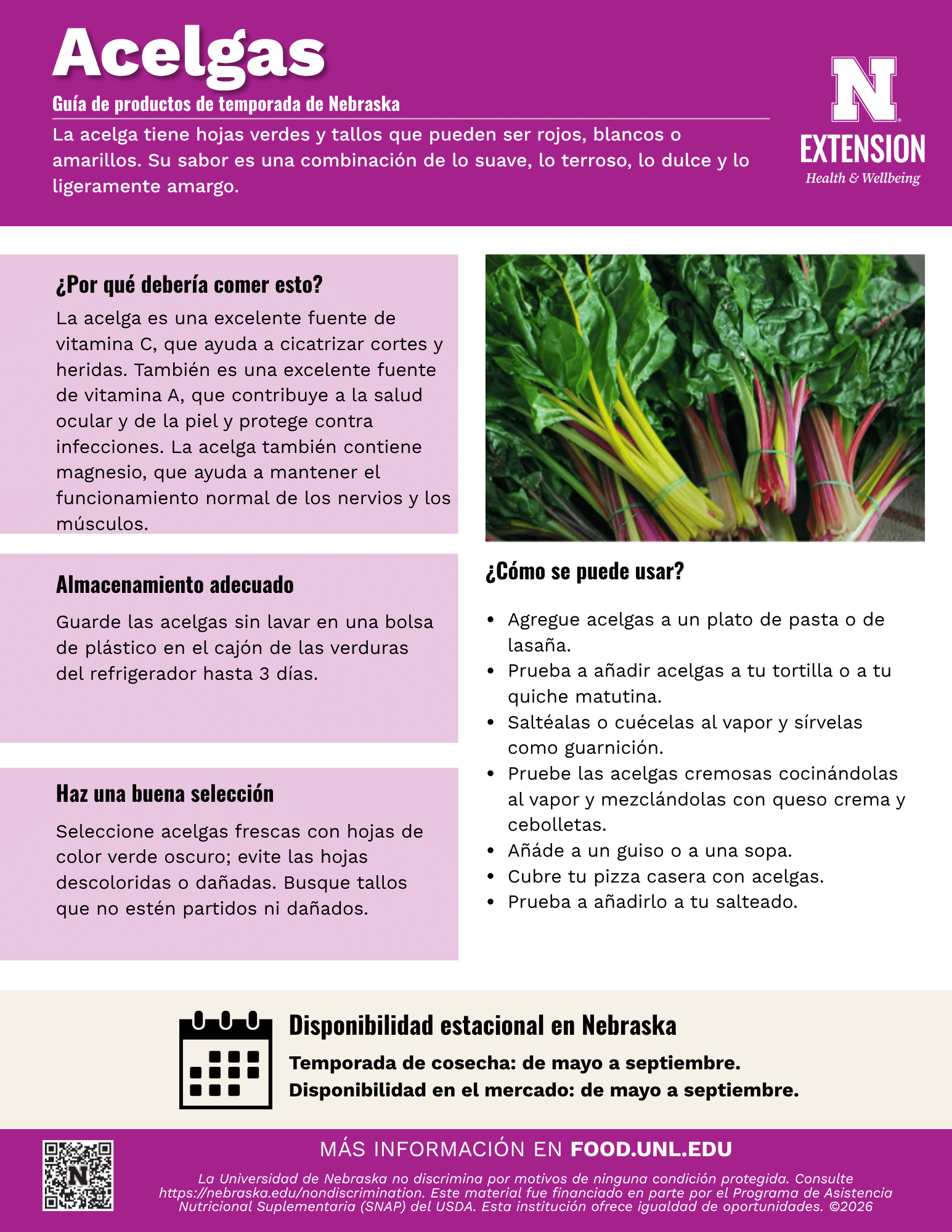 Swiss Chard Handout - Spanish