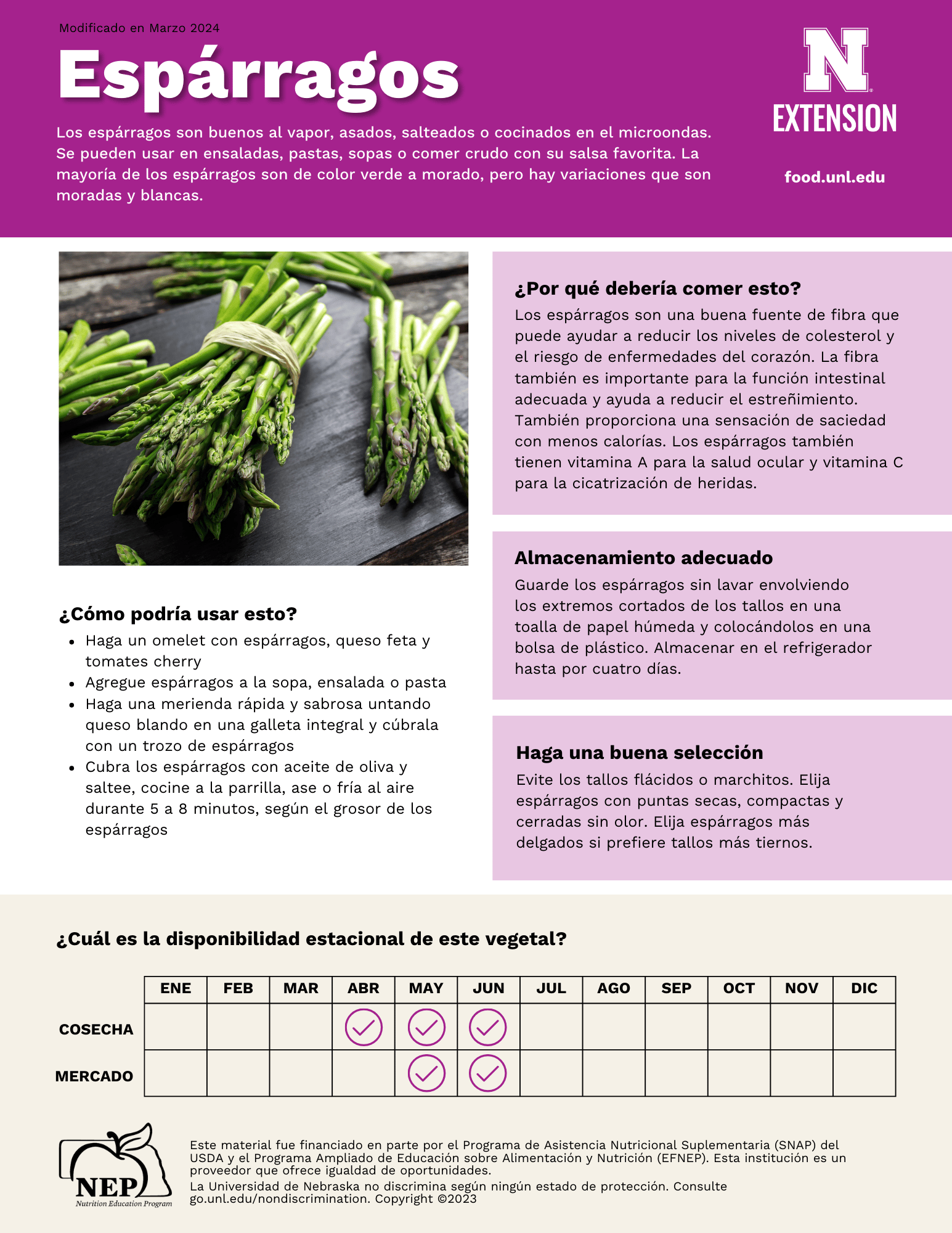 Asparagus Handout - Spanish