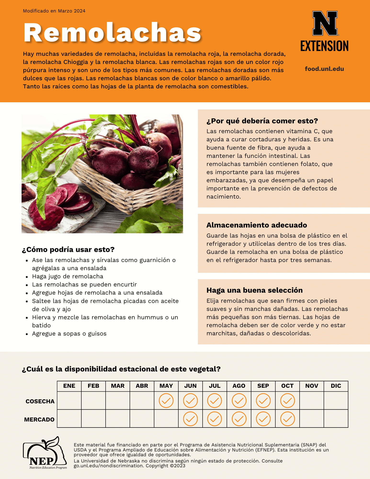 Beets Handout - Spanish