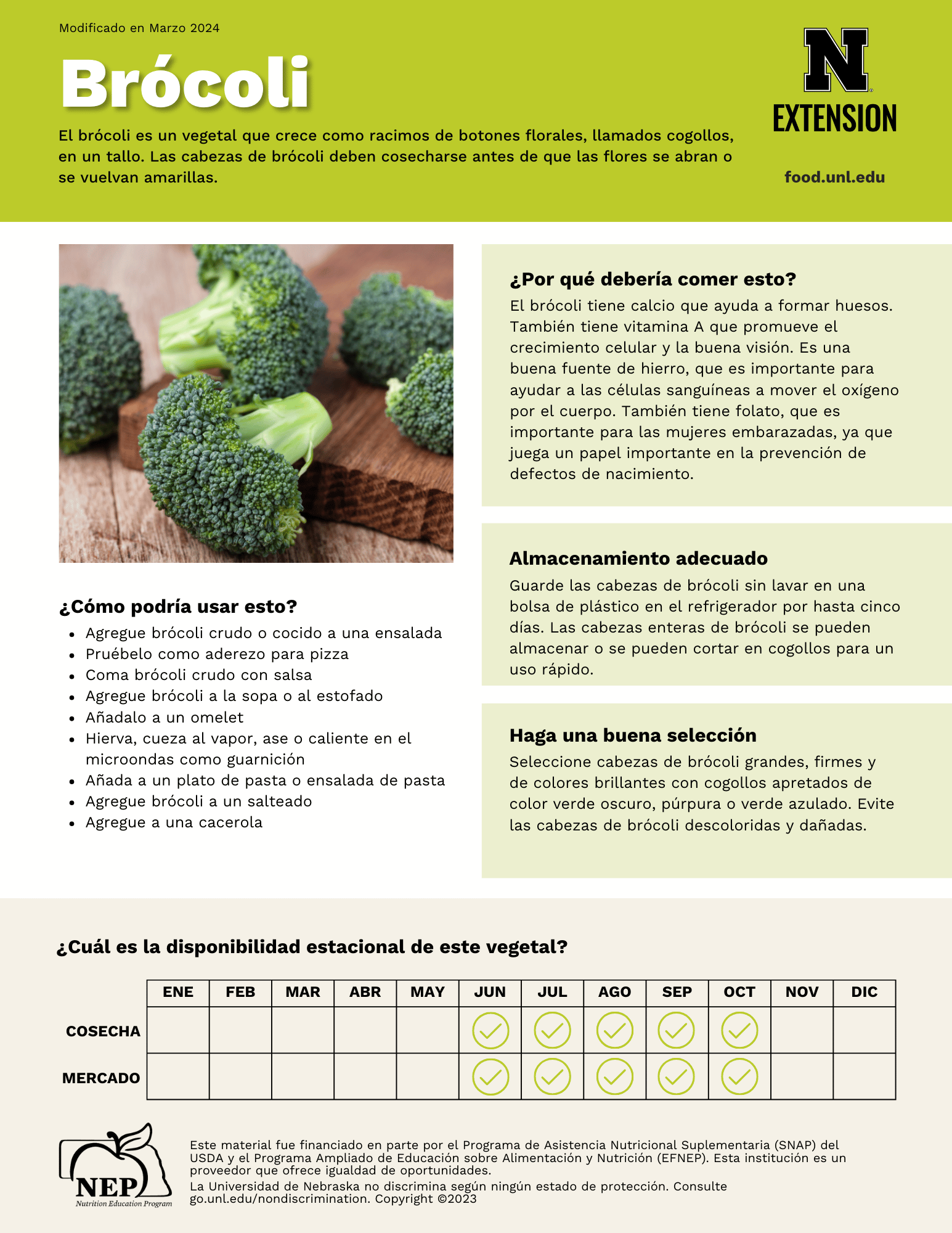 Broccoli Handout - Spanish