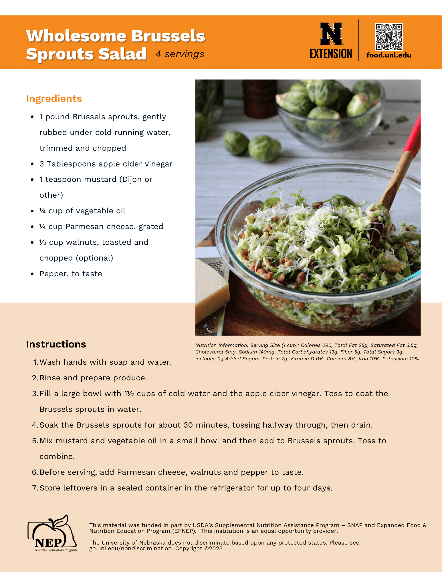 Brussels Sprouts Salad Recipe Handout