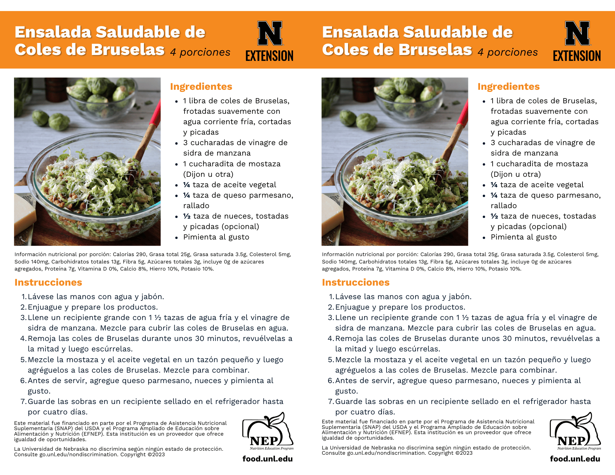 Brussels Sprouts Salad Recipe Handouts - Spanish