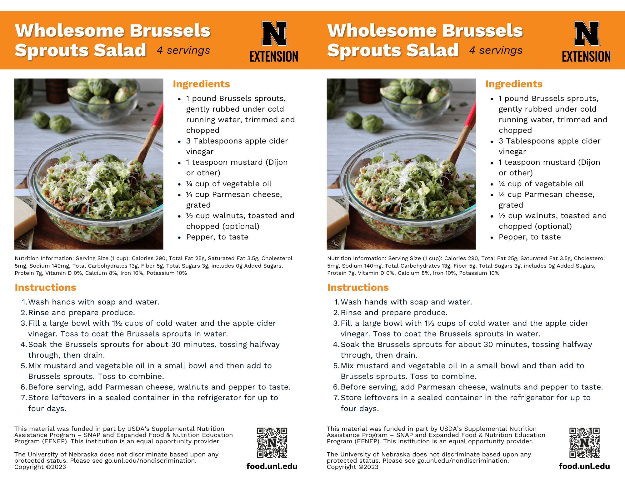 Brussels Sprouts Salad Recipe Handouts