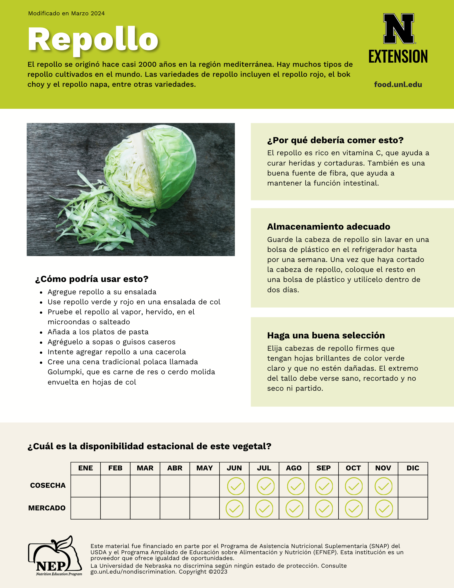 Cabbage Handout - Spanish
