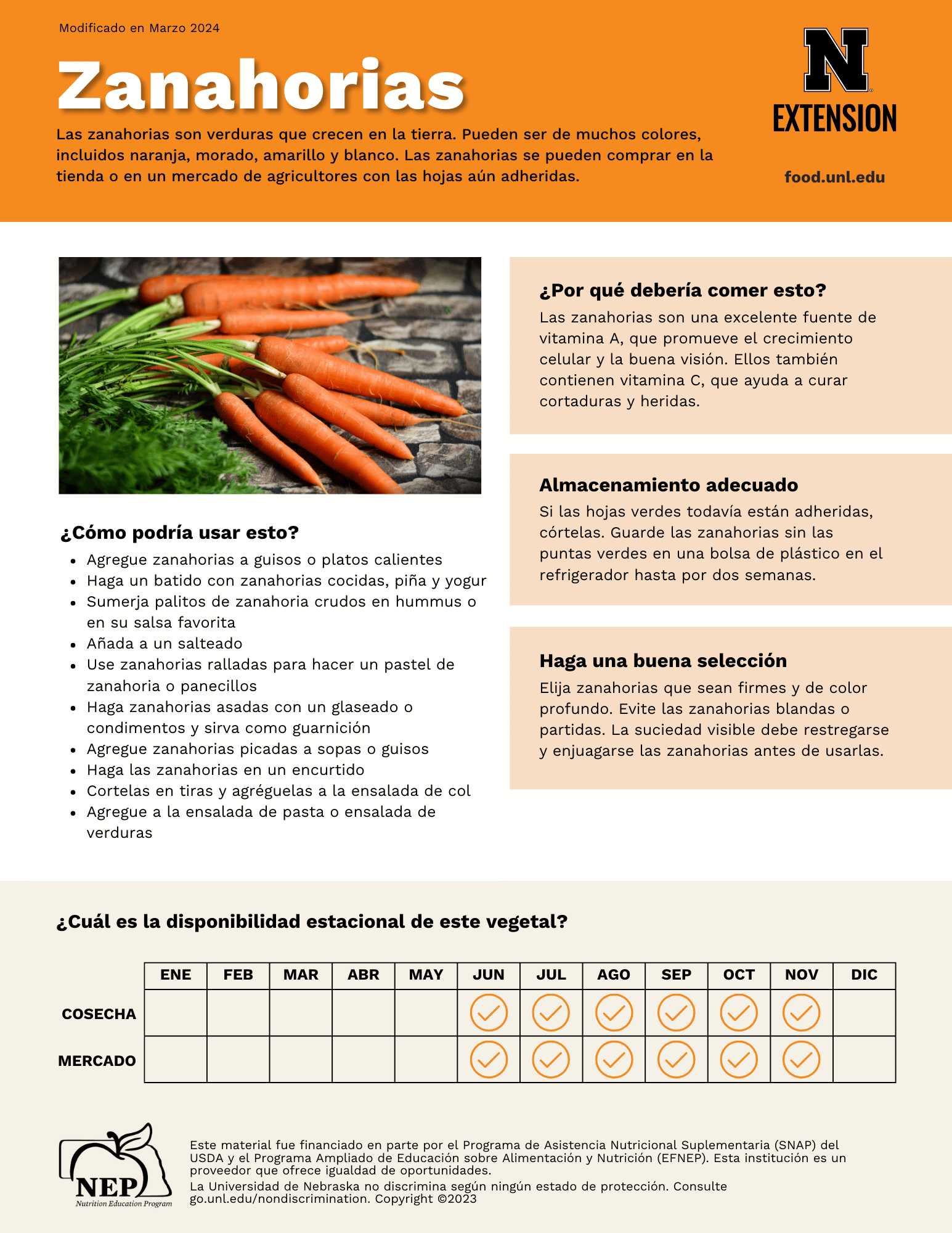 Carrots Handout - Spanish