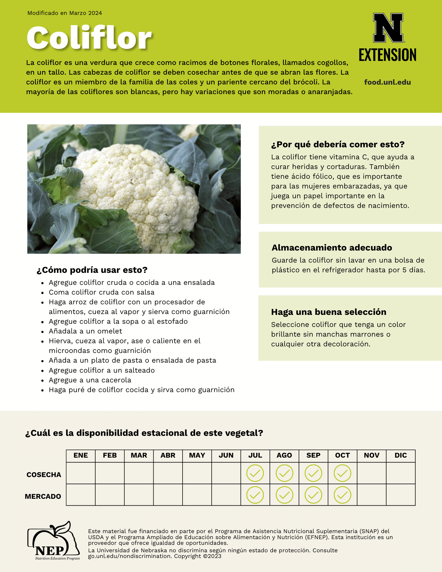 Cauliflower Handout - Spanish