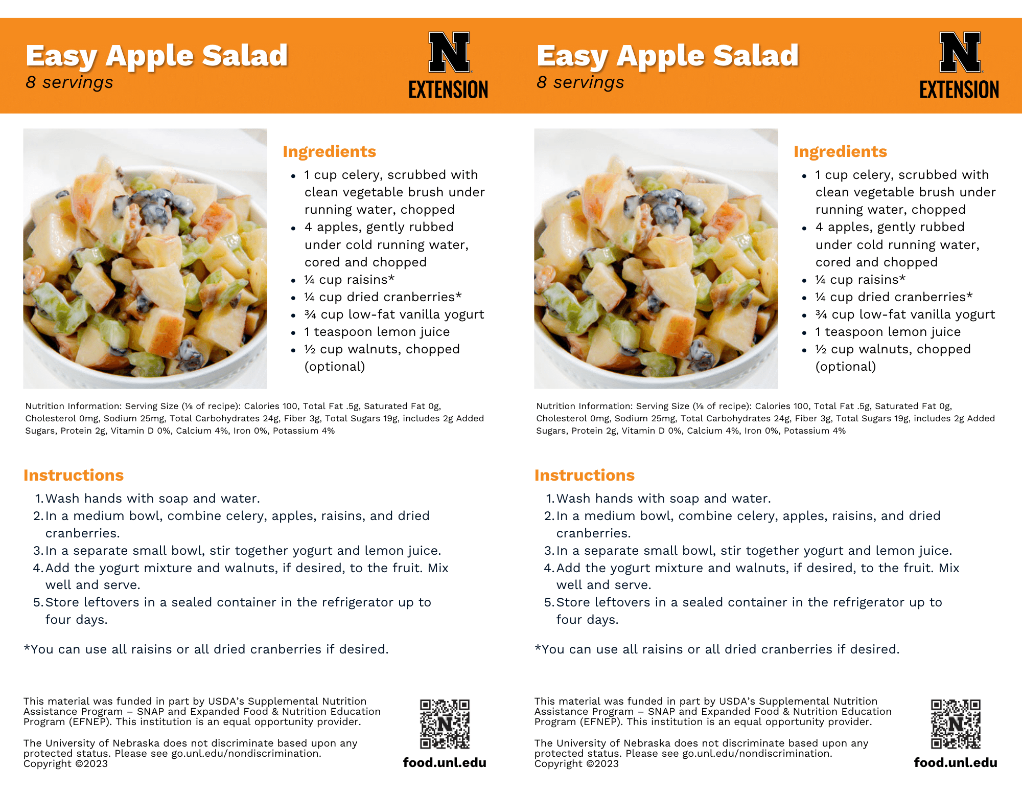 Easy Apple Salad Recipe Handouts