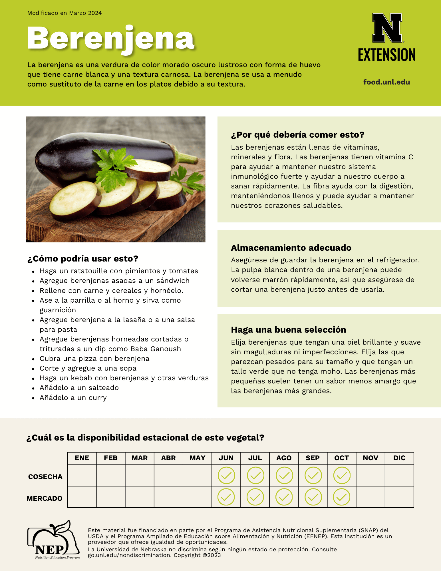 Eggplant Handout Spanish