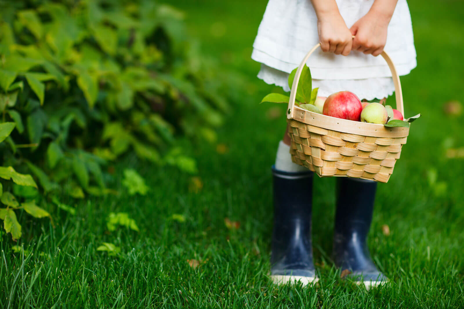 Girl holding a basket of apples.