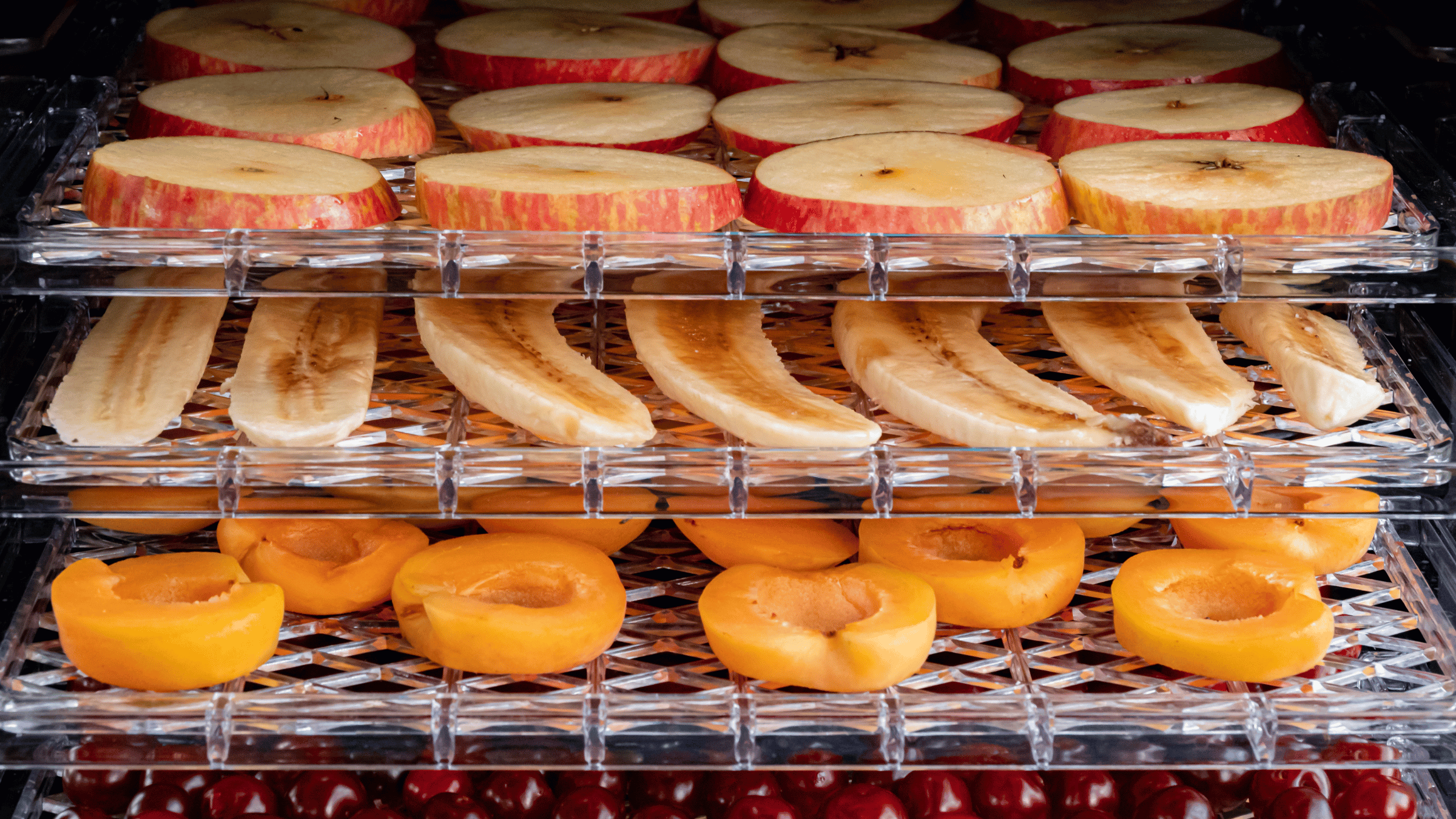 dehydrating foods