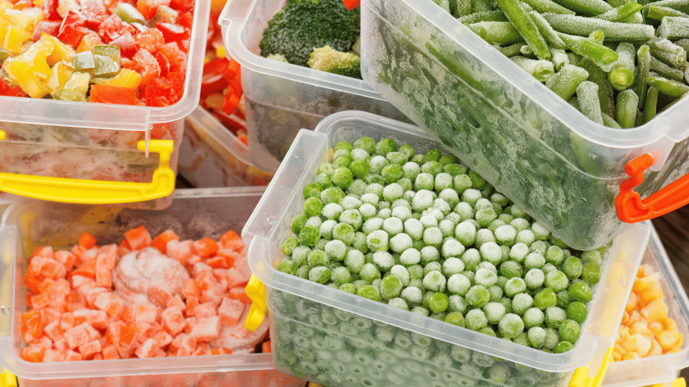 frozen vegetables in storage containers