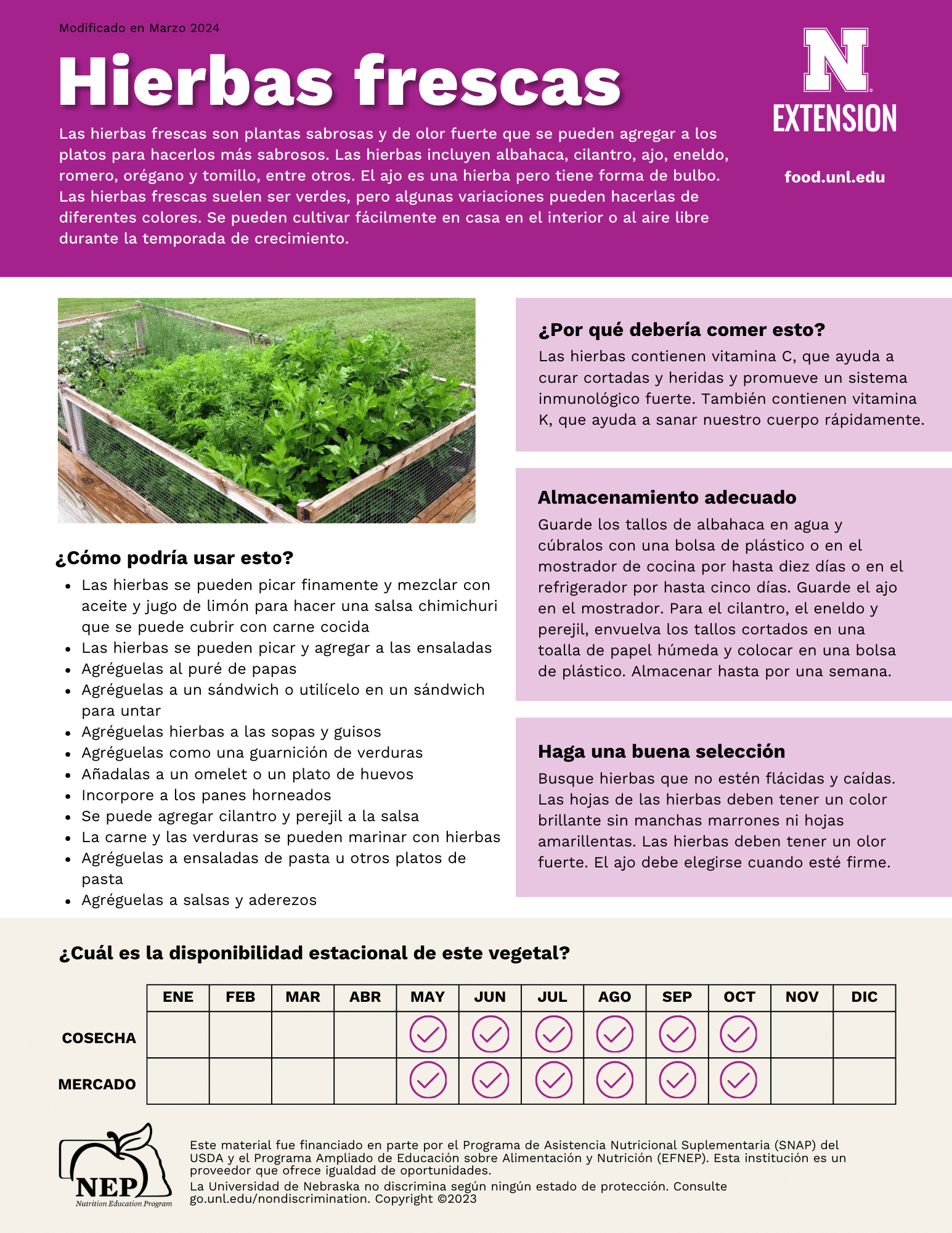Fresh Herbs Handout - Spanish
