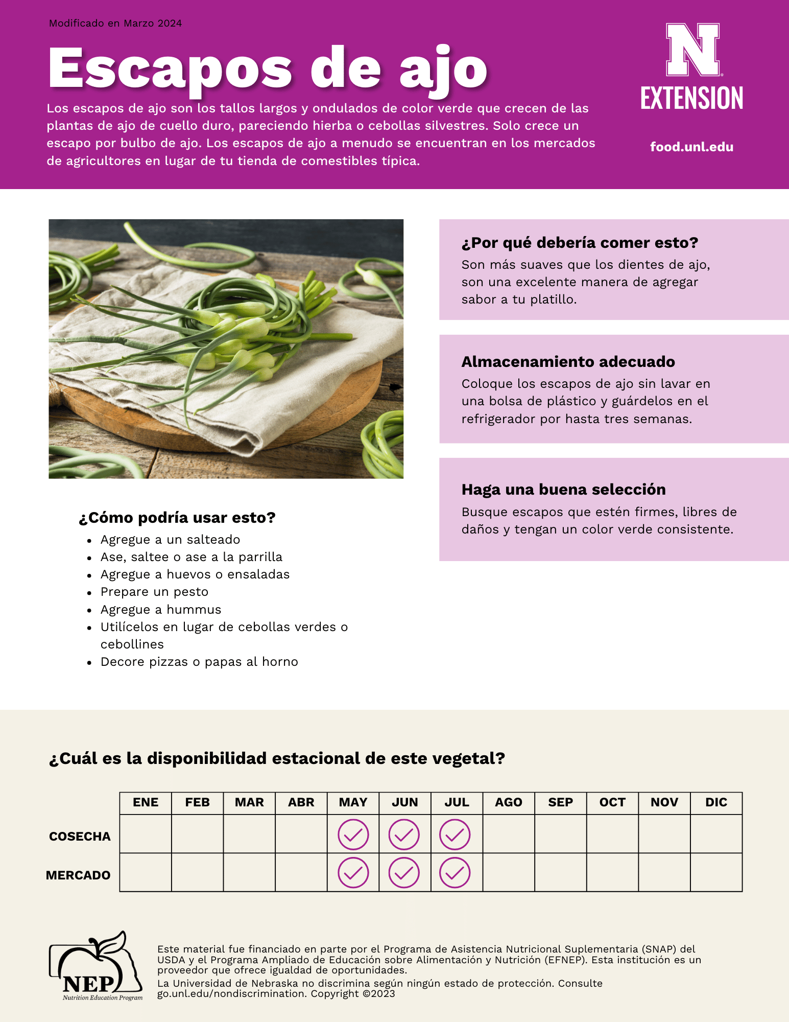 Garlic Scapes Handout - Spanish
