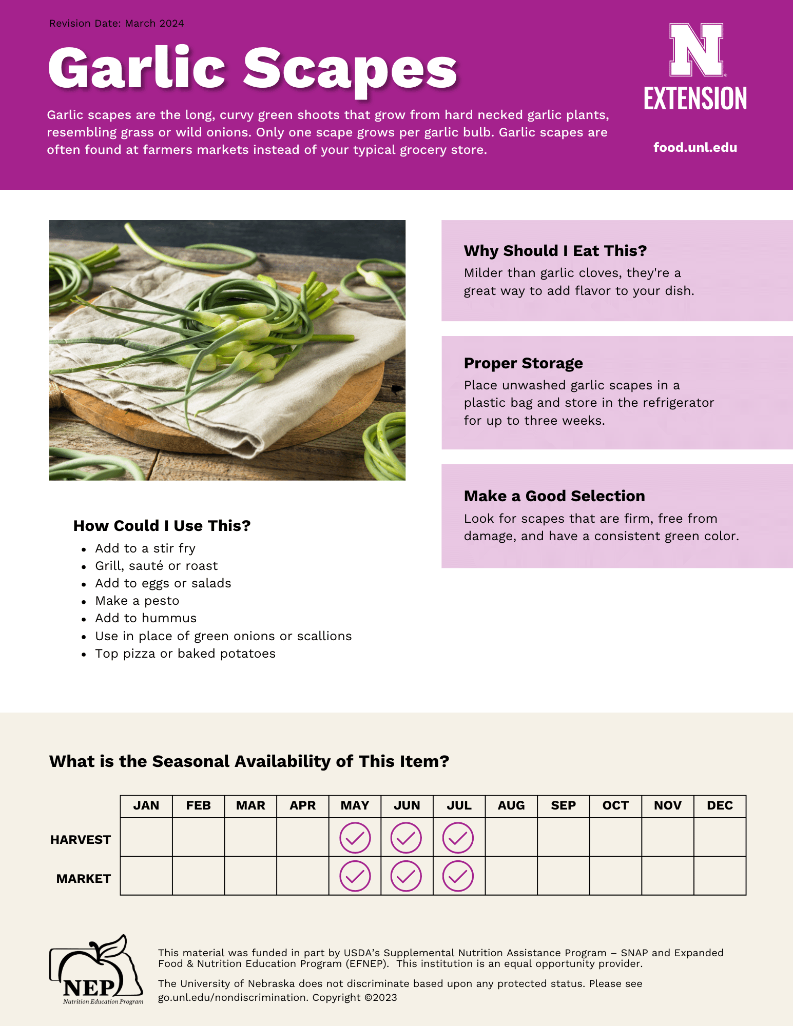 Garlic Scapes Handout