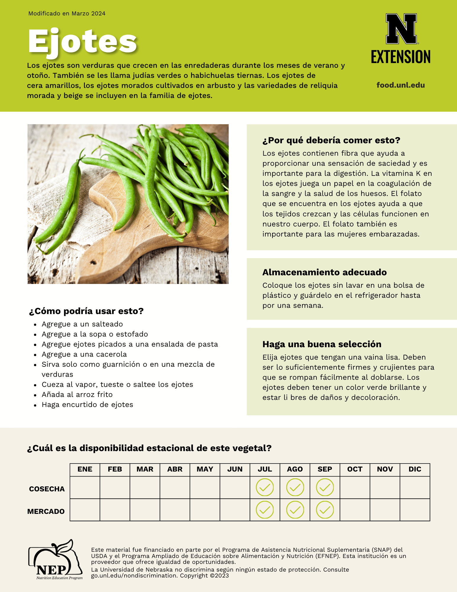Green Beans Handout - Spanish