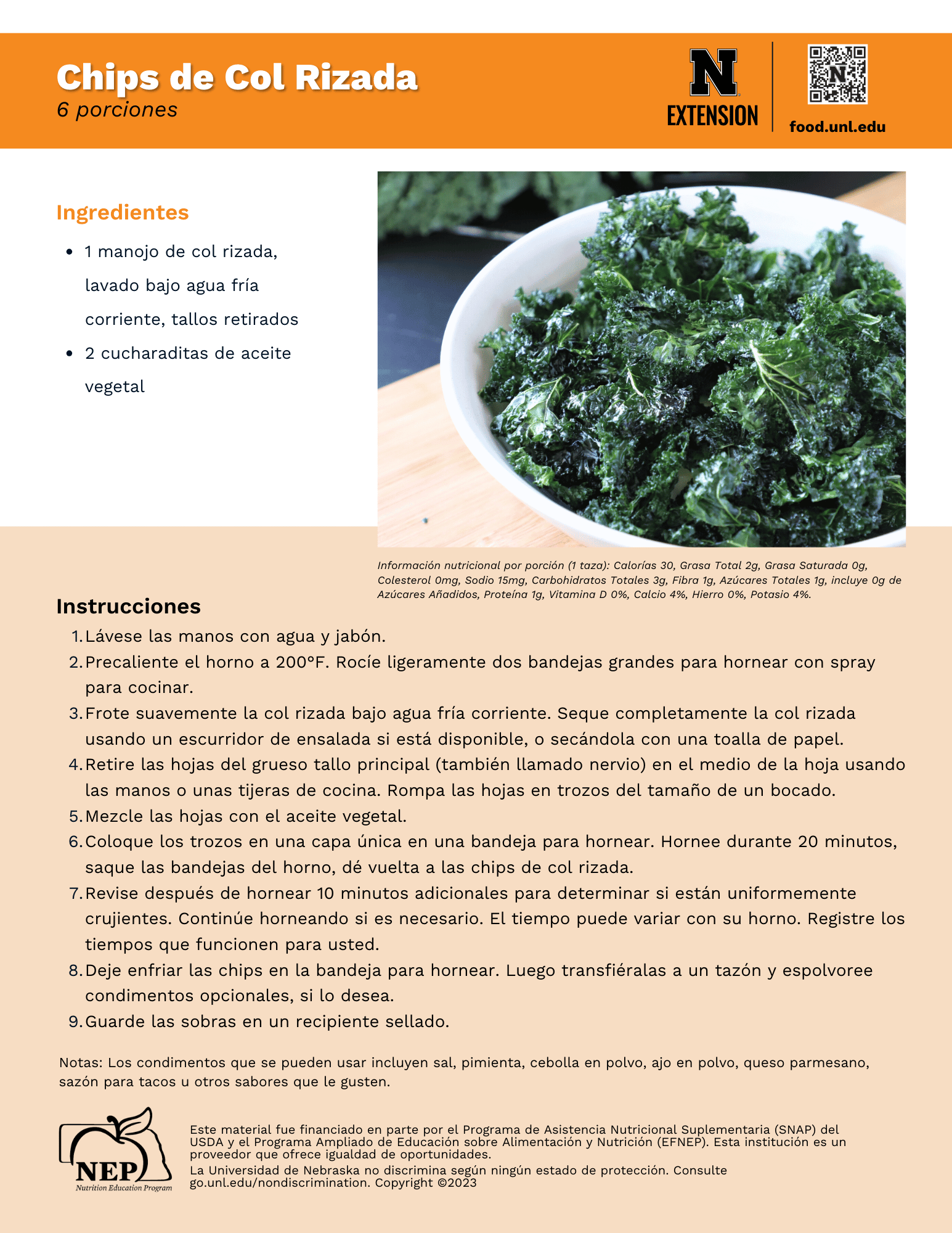 Kale Chips Recipe Handout - Spanish