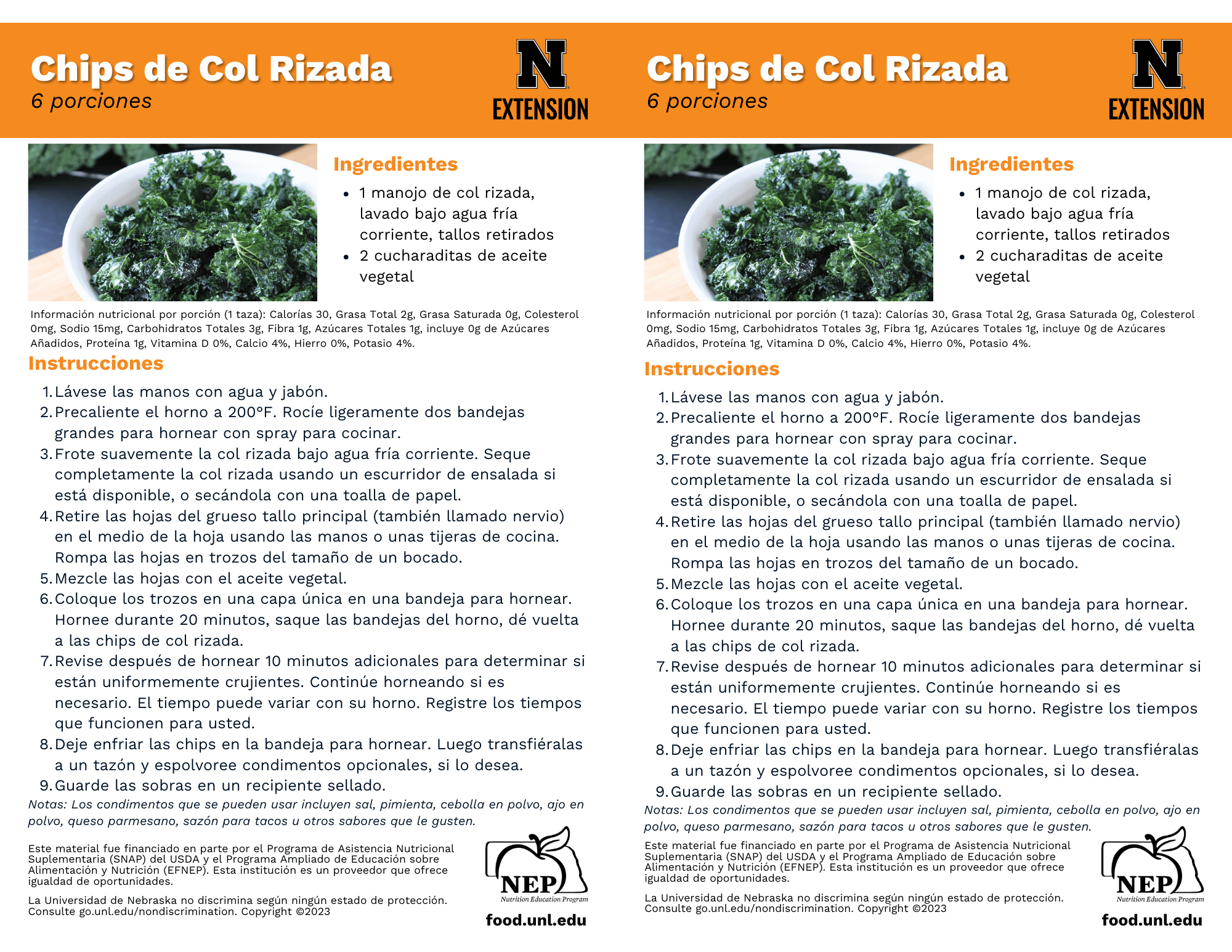 Kale Chips Recipe Handouts - Spanish