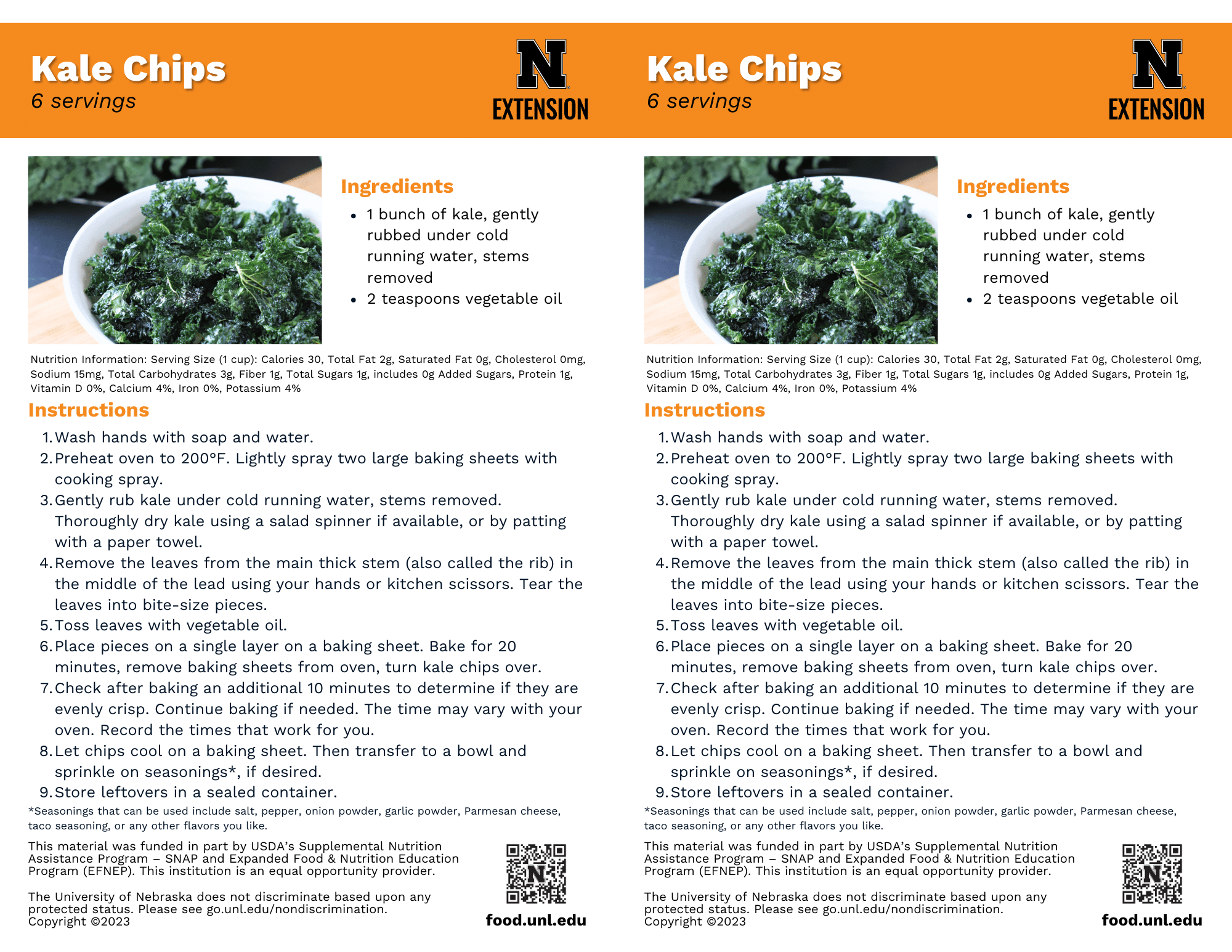 Kale Chips Recipe Handouts
